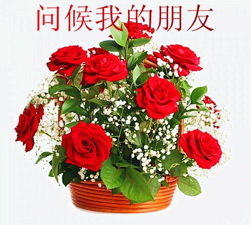 最新早上好动图，活力四溢的情感表达媒介