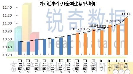 今日全国生猪价格概览及最新行情分析