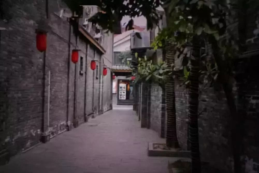 保定最新打架事件揭秘，小巷深处的背后故事