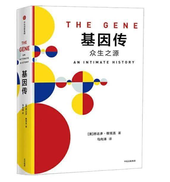 探索现代网络时代的道德边界，最新伦理网站一览