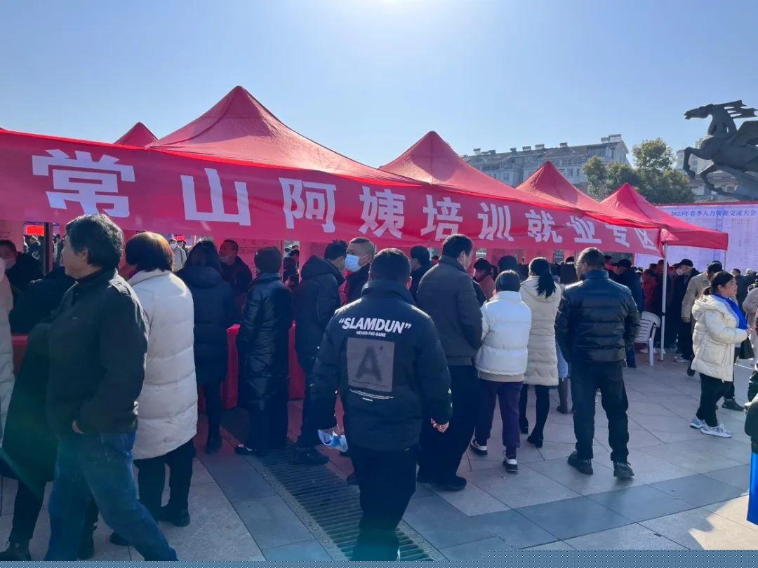 常山招聘网最新招聘，城市求职奇遇与友情绽放的交汇点