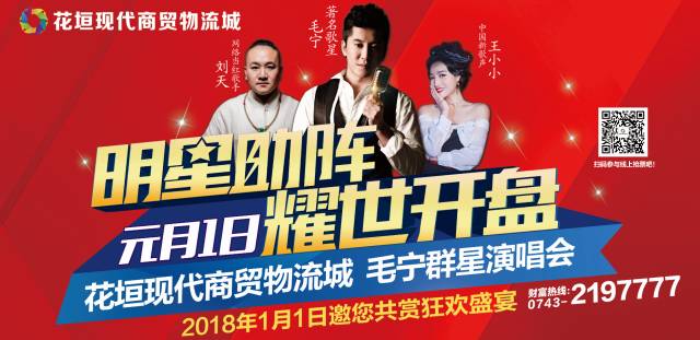 毛宁最新动态探秘，最新消息一览无余