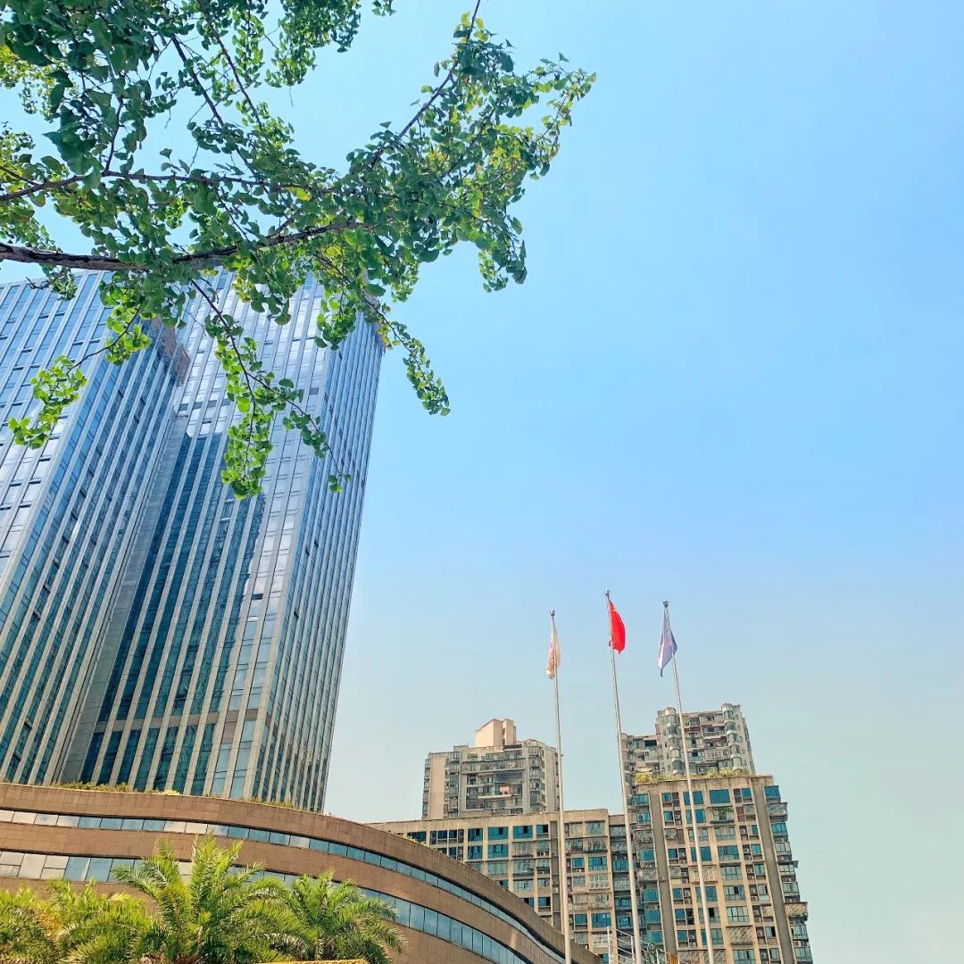 弱势儿童多元教育 第76页