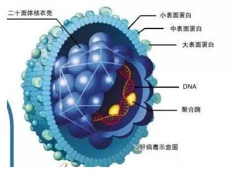 善弱势儿童教育环境 第215页