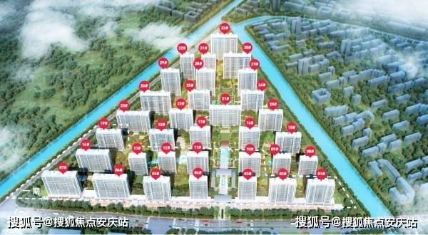 清华大学生医药校友会 第13页